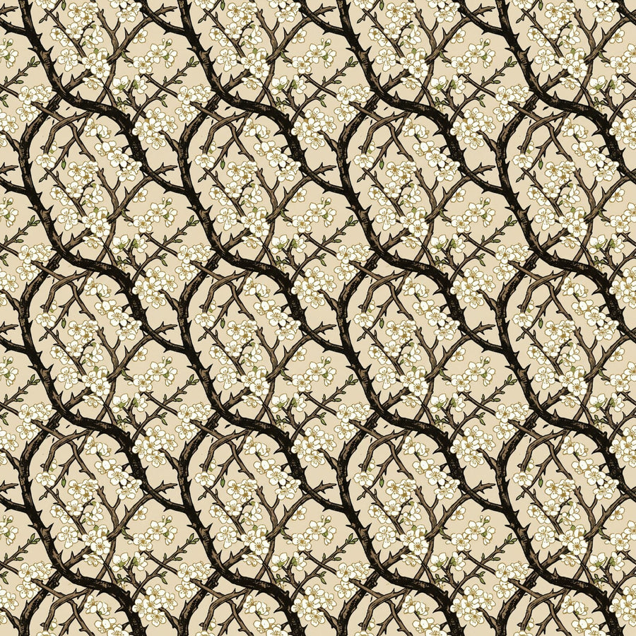 Immerse yourself in the stark beauty of an English hedgerow in bloom with our Blackthorn Hedge mural. White blossom, dark branches, parchment ground. Made to order.