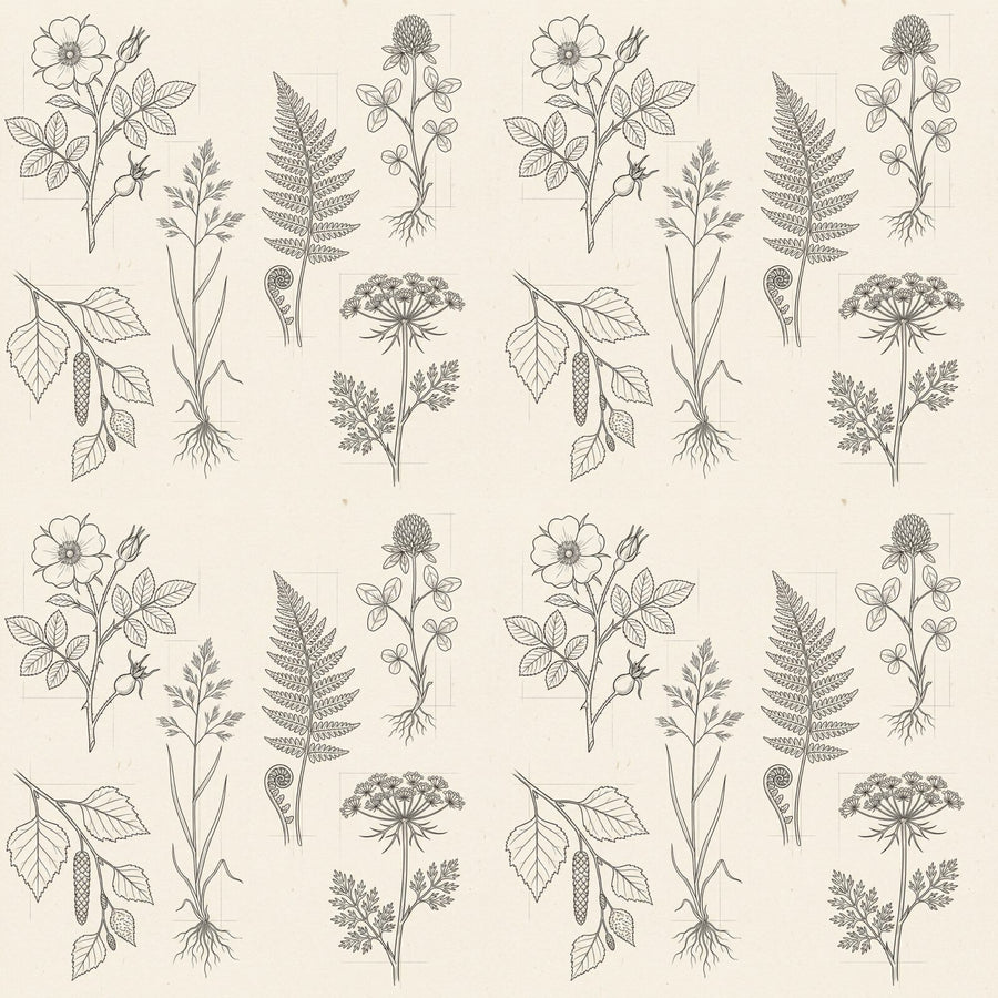 Precise botanical line drawings on a warm cream background. A scholarly, elegant pattern for any room. Made to order.
