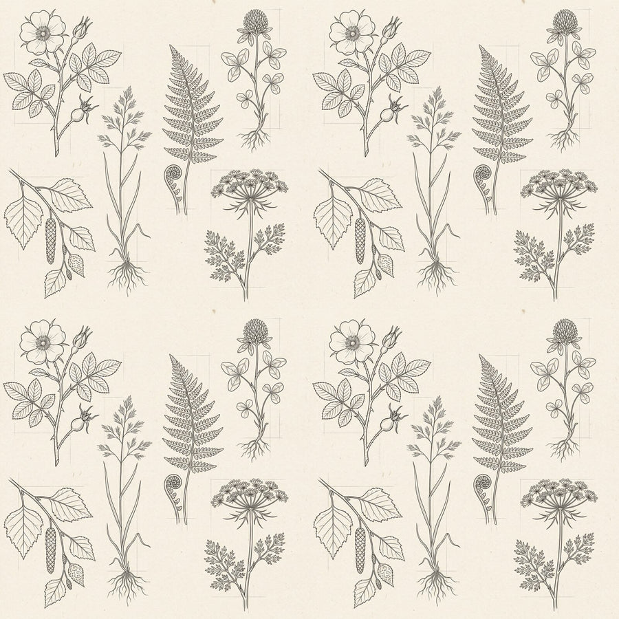 Precise botanical line drawings on a warm cream background. A scholarly, elegant pattern for any room. Made to order.