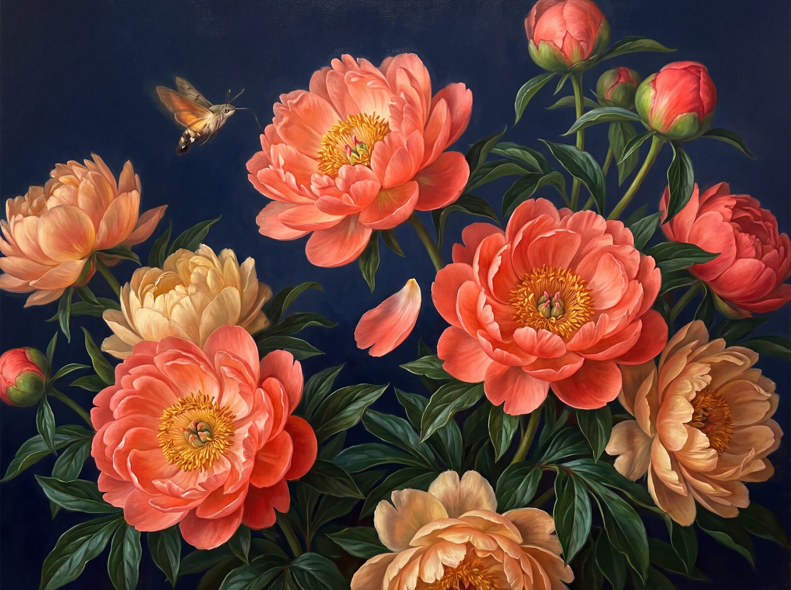 Witness the vibrant first bloom of Coral Charm peonies against a warm midnight navy. Made to order.