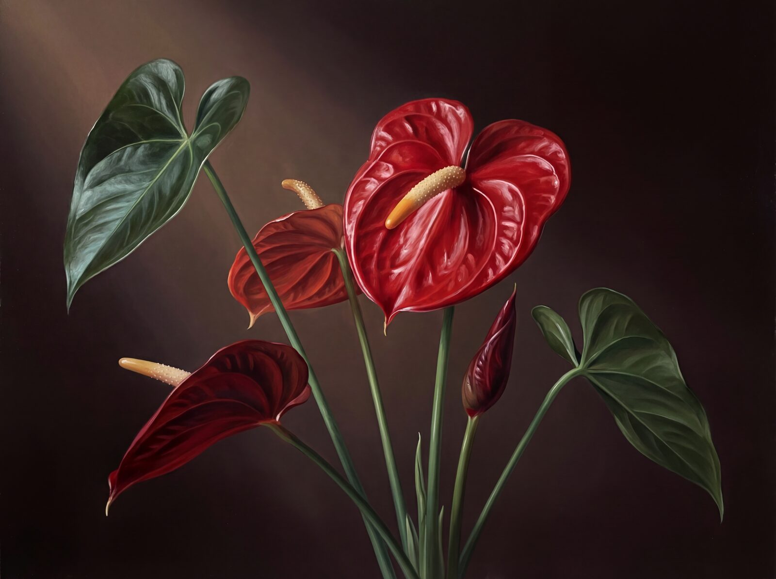 A single, waxy red anthurium against near-black, with palette of Waxy Red, Highlight, and Leaf Dark. Made to order.