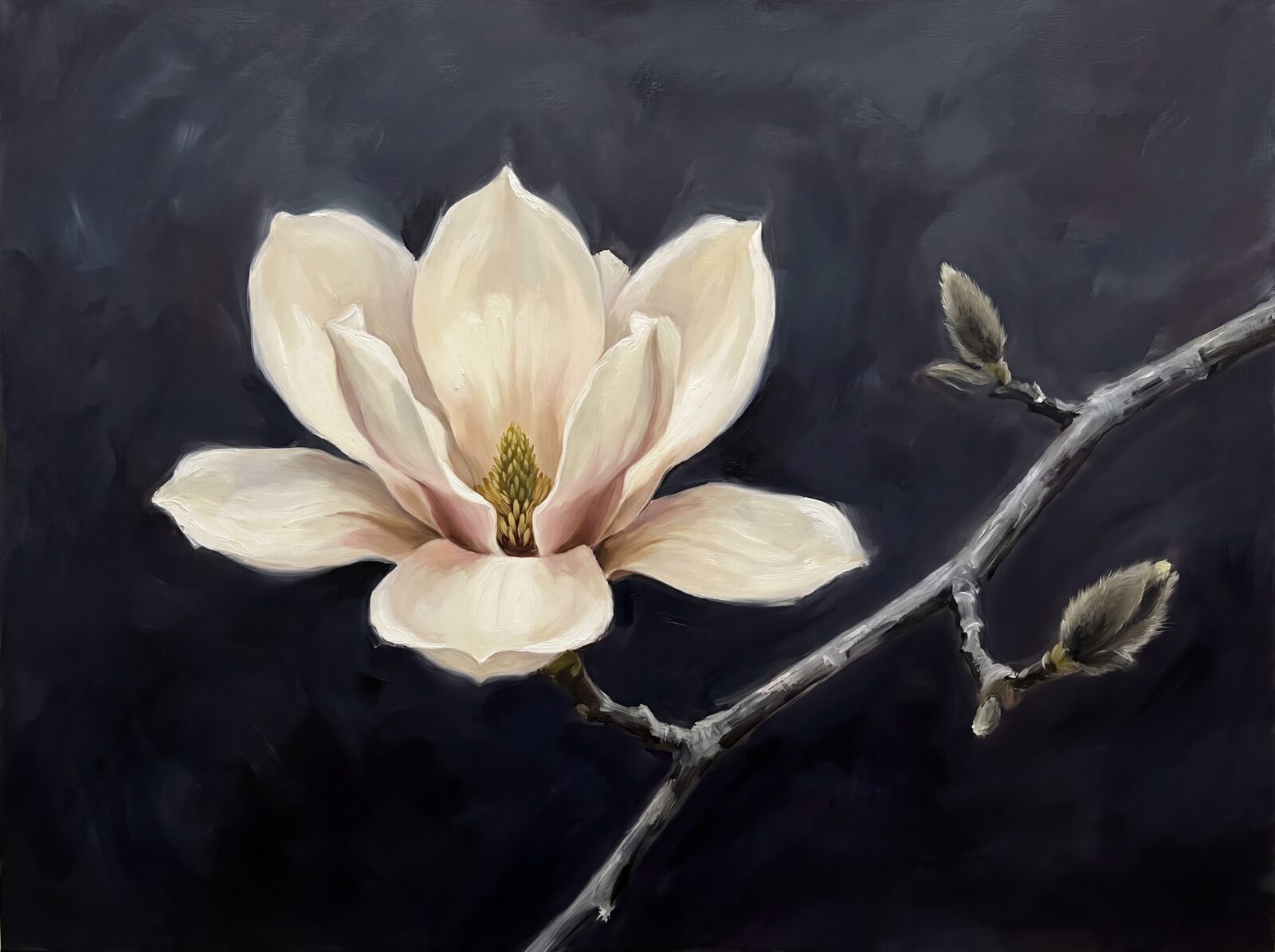 Experience the luminous beauty of a single magnolia bloom against a deep, dramatic sky. Cream-white, blush, and silvery greys. Made to order.