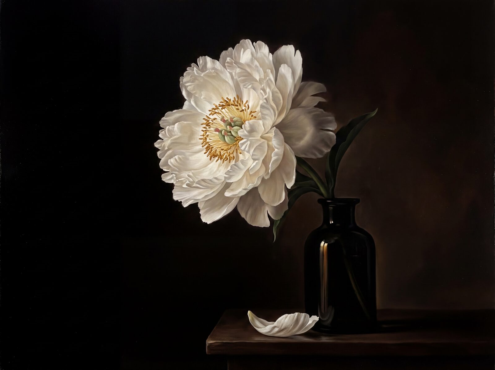 A dramatic chiaroscuro study of a solitary white peony against a void black ground. Palette: Void Black, Petal White, Stamen Gold. Made to order.