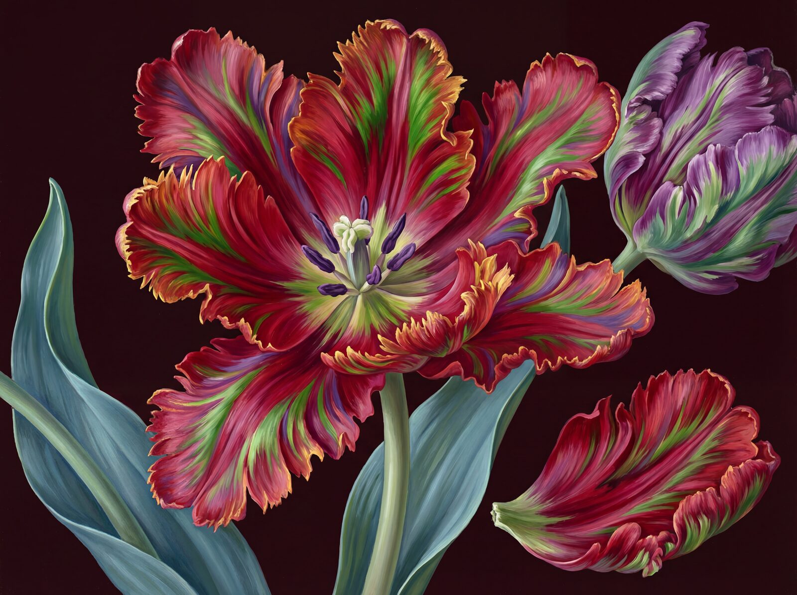 An extravagant parrot tulip mural in crimson, green, and violet. Made to order.