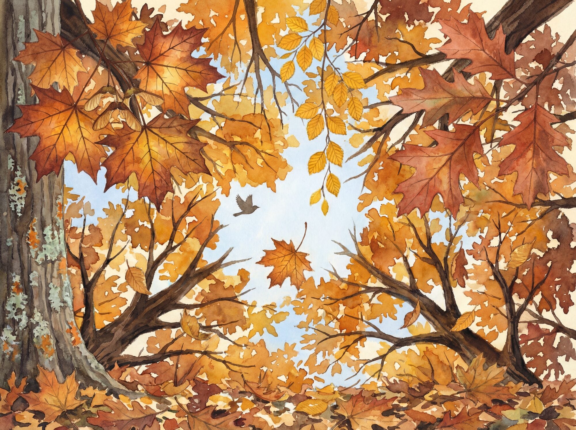 Watercolour woodland mural seen from below, amber and rust maple and oak leaves forming a canopy against pale blue sky, a small bird in silhouette and a single falling leaf mid-descent