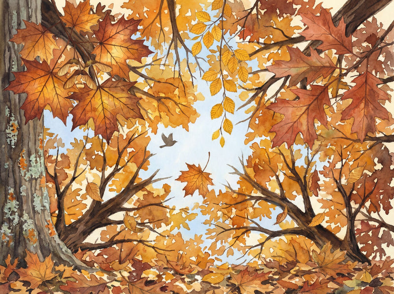 Autumn Canopy Overhead — Scenic Mural Wallpaper