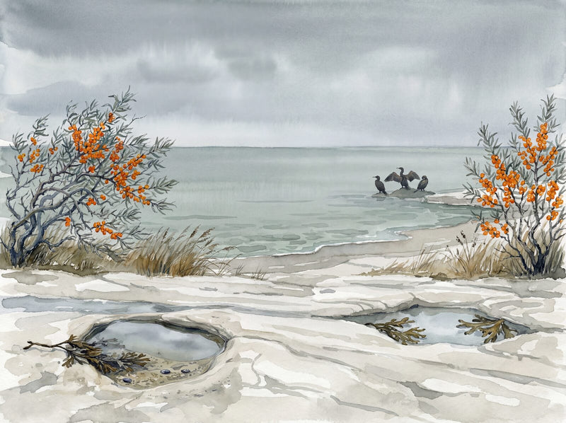 Baltic Shore — Mural Wallpaper
