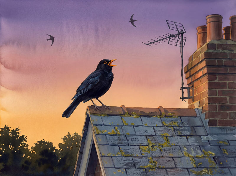 Blackbird Song — Mural Wallpaper