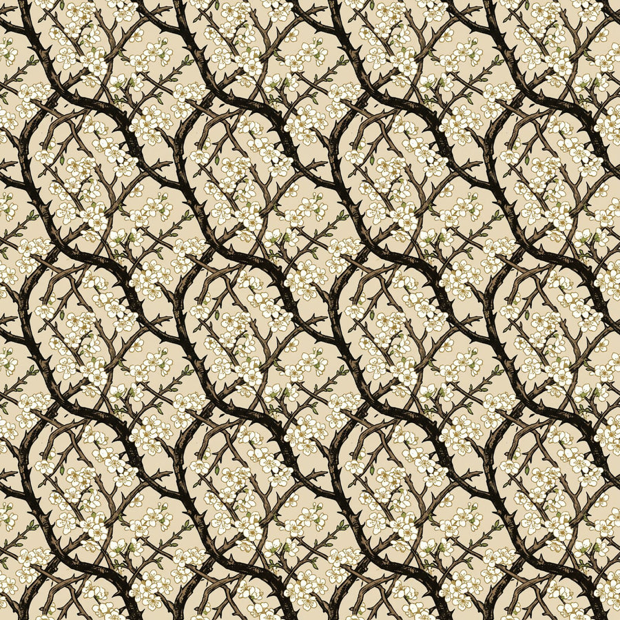 Immerse yourself in the stark beauty of an English hedgerow in bloom with our Blackthorn Hedge mural. White blossom, dark branches, parchment ground. Made to order.