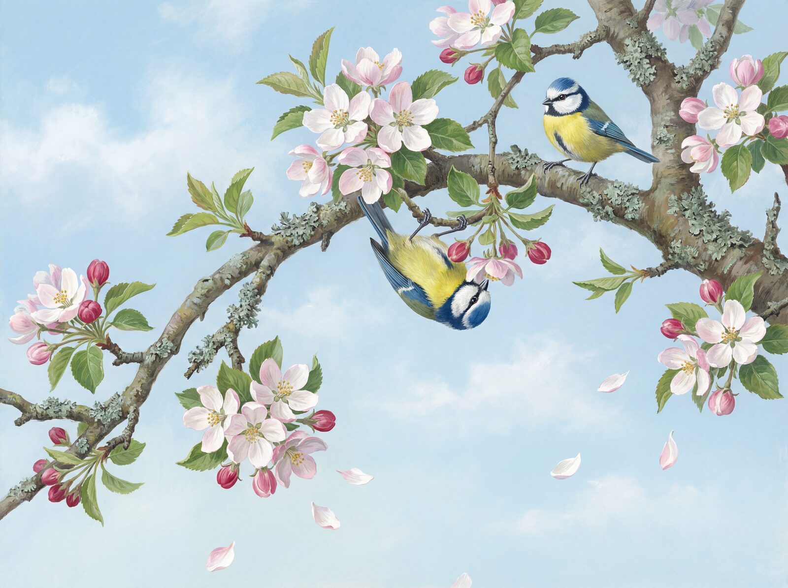 A blue tit inspects apple blossom. Features cobalt, lemon, and soft pink hues. Made to order.