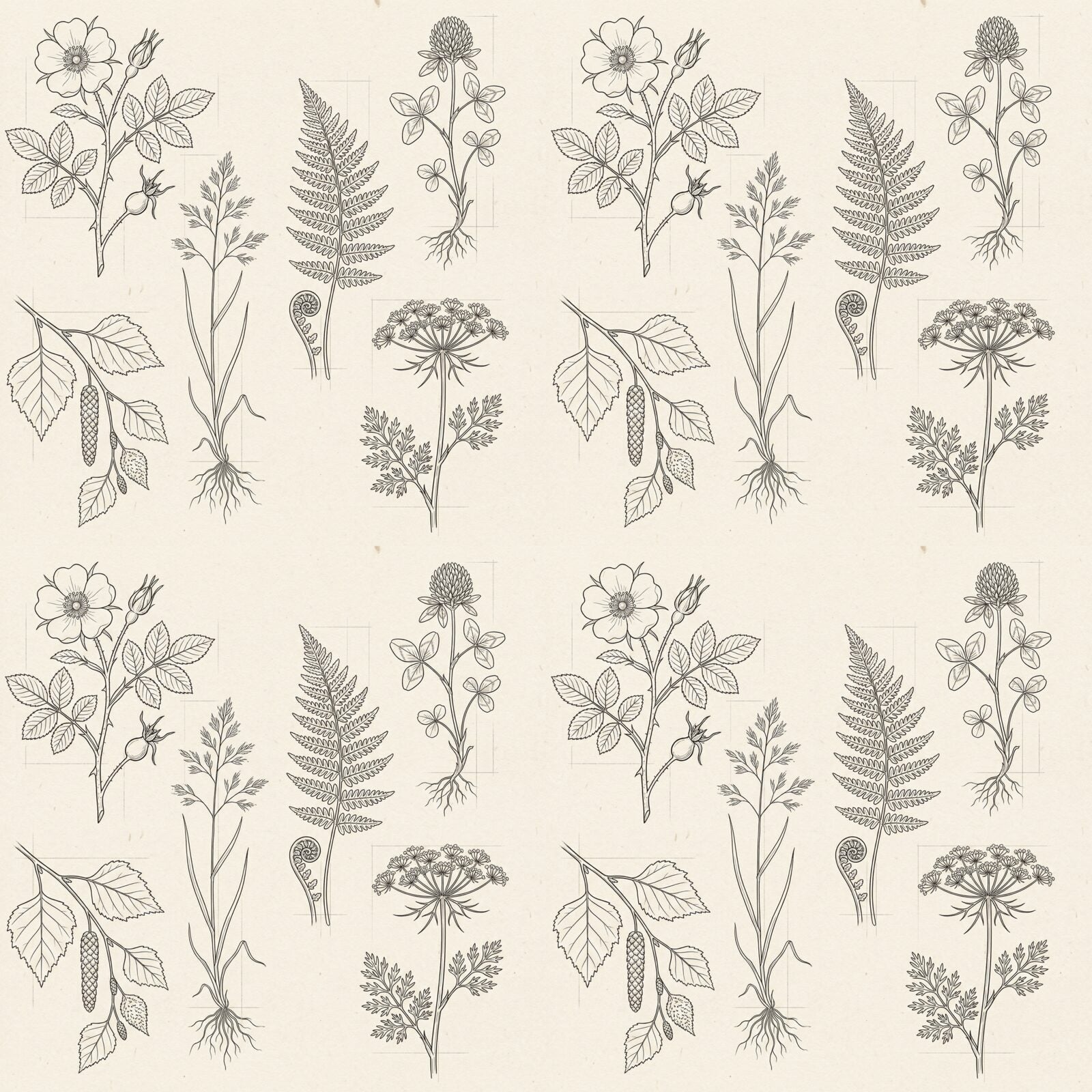 Precise botanical line drawings on a warm cream background. A scholarly, elegant pattern for any room. Made to order.