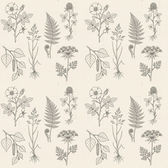 Botanical Line Drawing — Mural Wallpaper