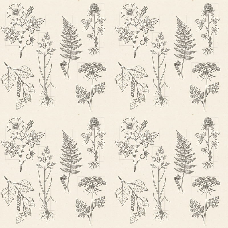 Botanical Line Drawing — Mural Wallpaper
