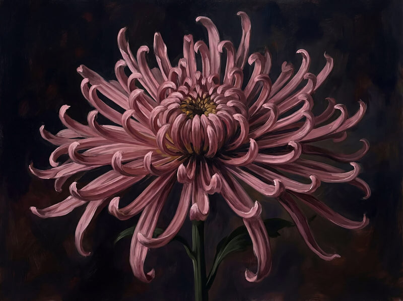 Dark Chrysanthemum — Mural Wallpaper
