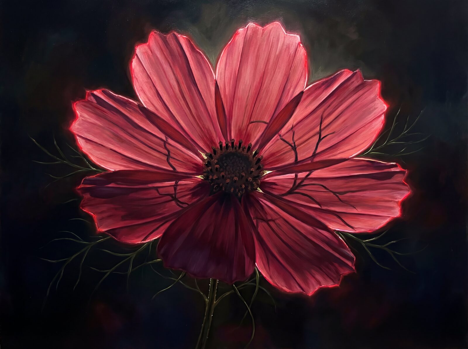 Experience the quiet power of a backlit cosmos flower in deep crimson and glowing red. Made to order for a perfect fit.