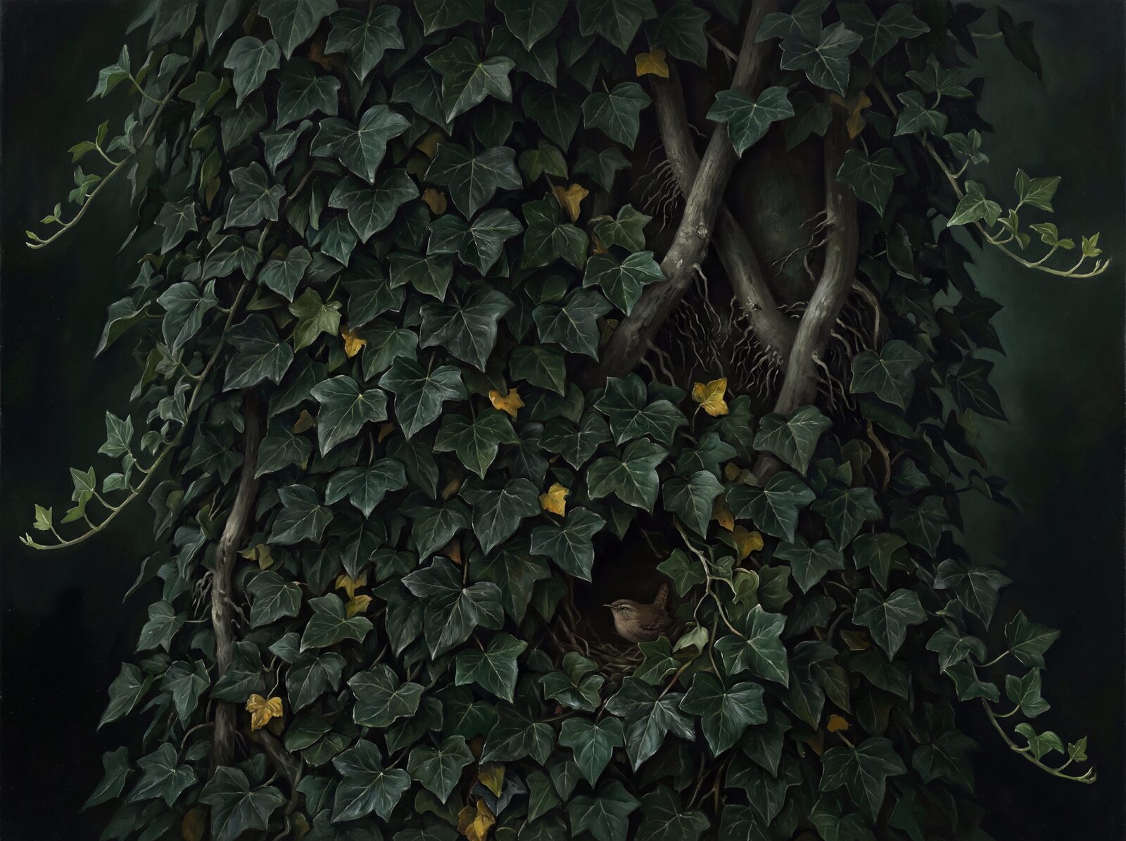 Immerse yourself in a wall of ancient, dense ivy. A monochromatic dark green palette. Made to order.