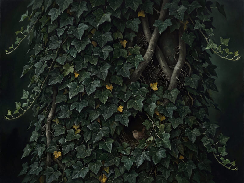 Dark Ivy — Mural Wallpaper