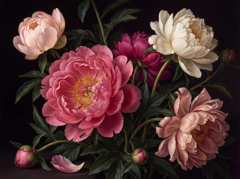 Dark Peony Profusion — Mural Wallpaper