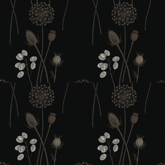 Dark Seed Head — Mural Wallpaper