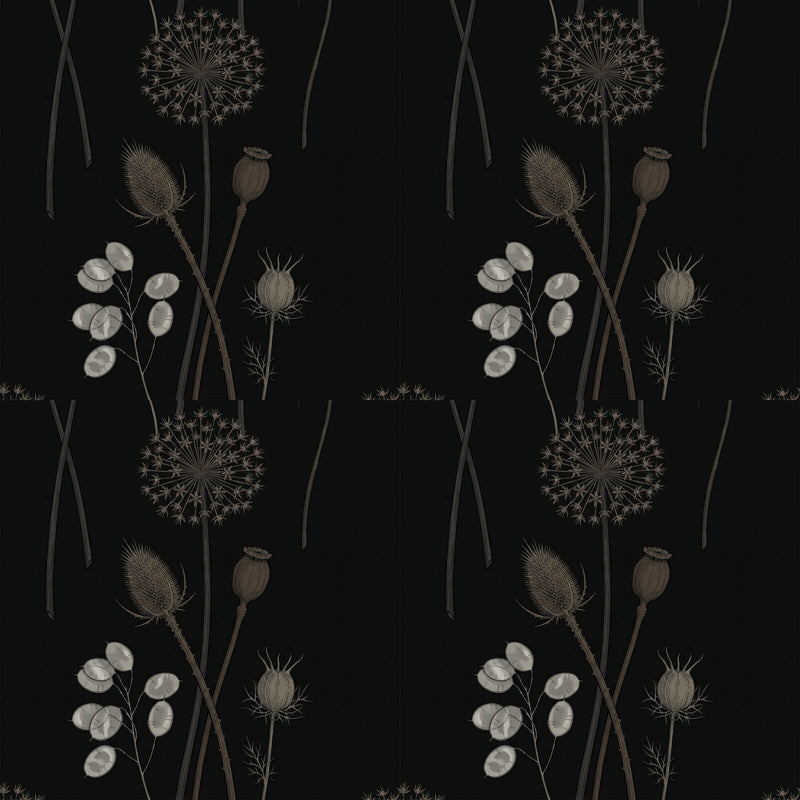 Dark Seed Head — Mural Wallpaper