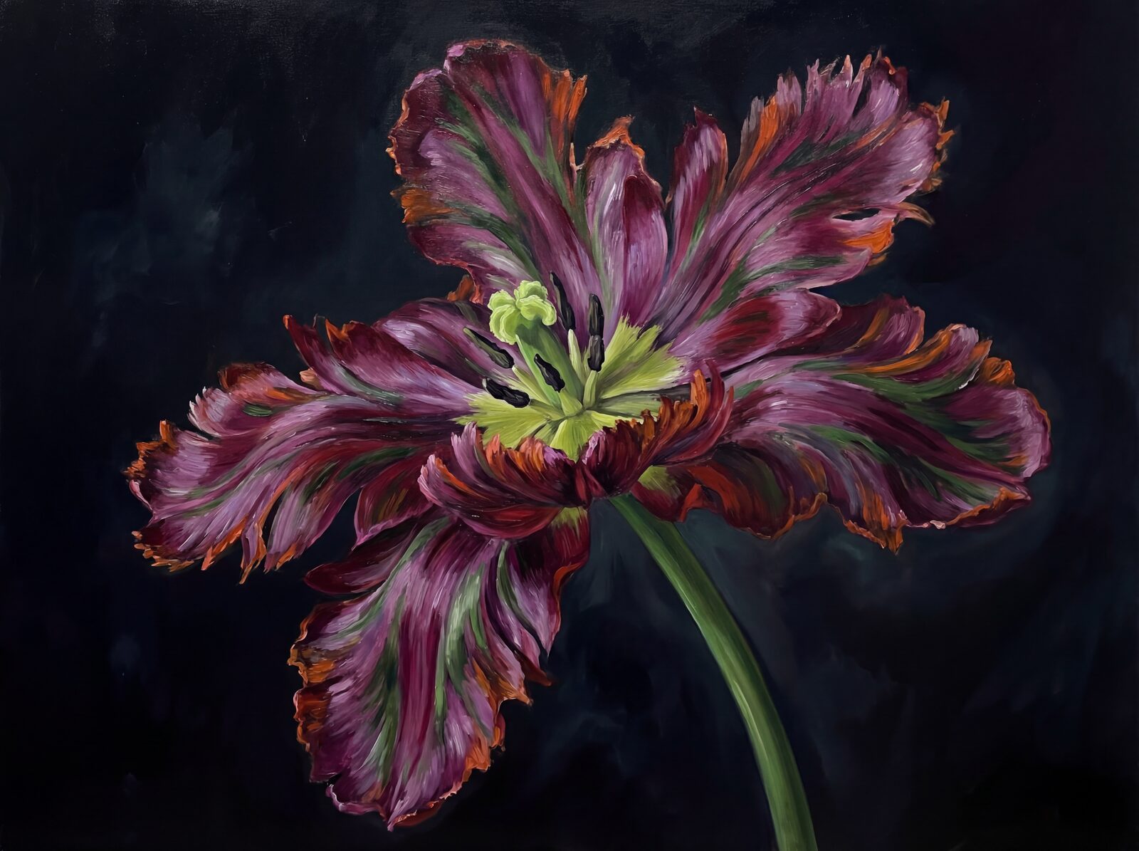 Experience the dramatic flamboyance of a parrot tulip in rich purple-reds, greens, and oranges against a black ground. Made to order.