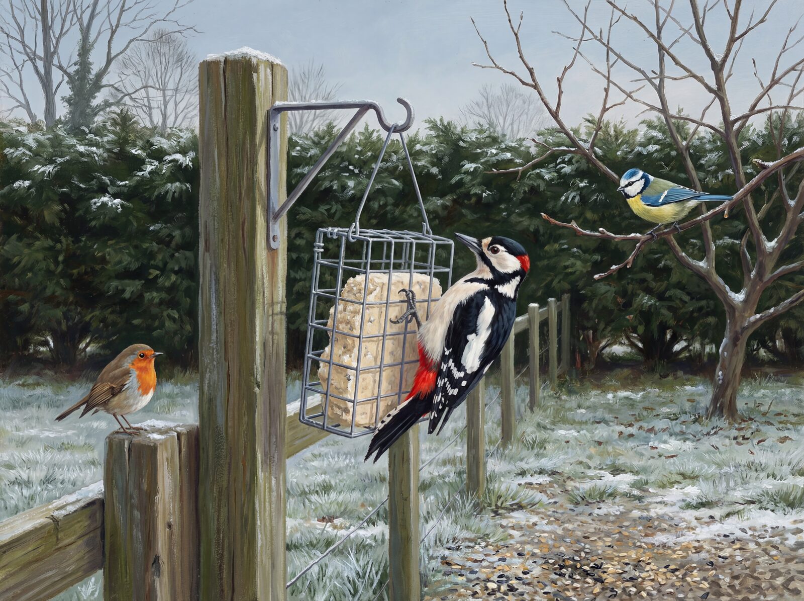 Witness the bold drama of a Great Spotted Woodpecker at a winter feeder. Scarlet red, true black & cream-white palette. Made to order.