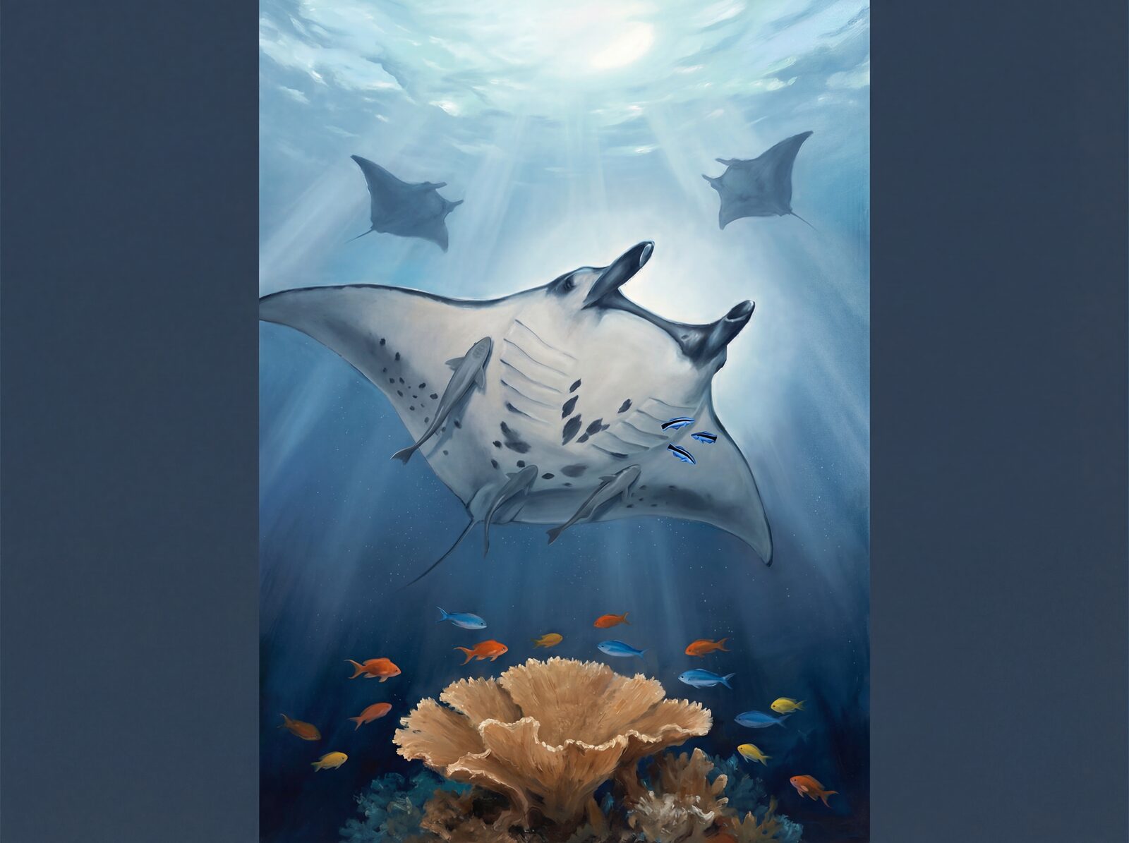 Tropical ocean scene with mantas, featuring Surface Bright, Manta Dark, and Remora Grey. Made to order.