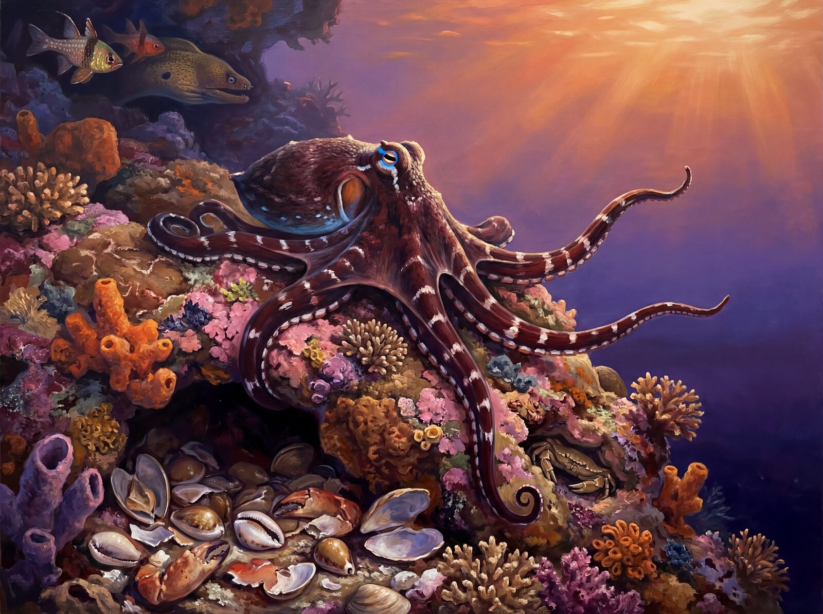 Witness a shallow reef at dusk with an octopus emerging from her den. Rich maroon, blue, brown, pink, orange, and purple. Made to order.