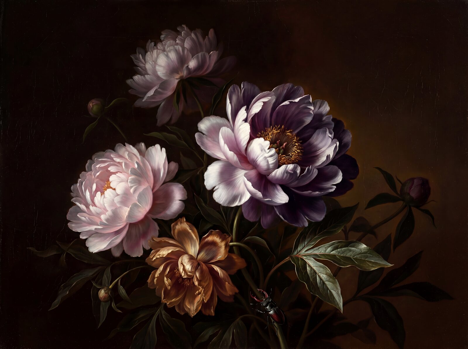 Immerse yourself in the sacred glow of aged peonies emerging from amber-black darkness. A rich palette of dusky pinks and warm whites. Made to order.