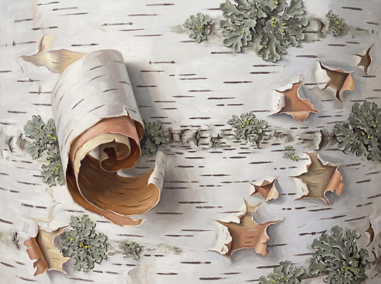 Immersive birch bark mural with whites, creams, pinks, and cinnamon tones. Made to order.