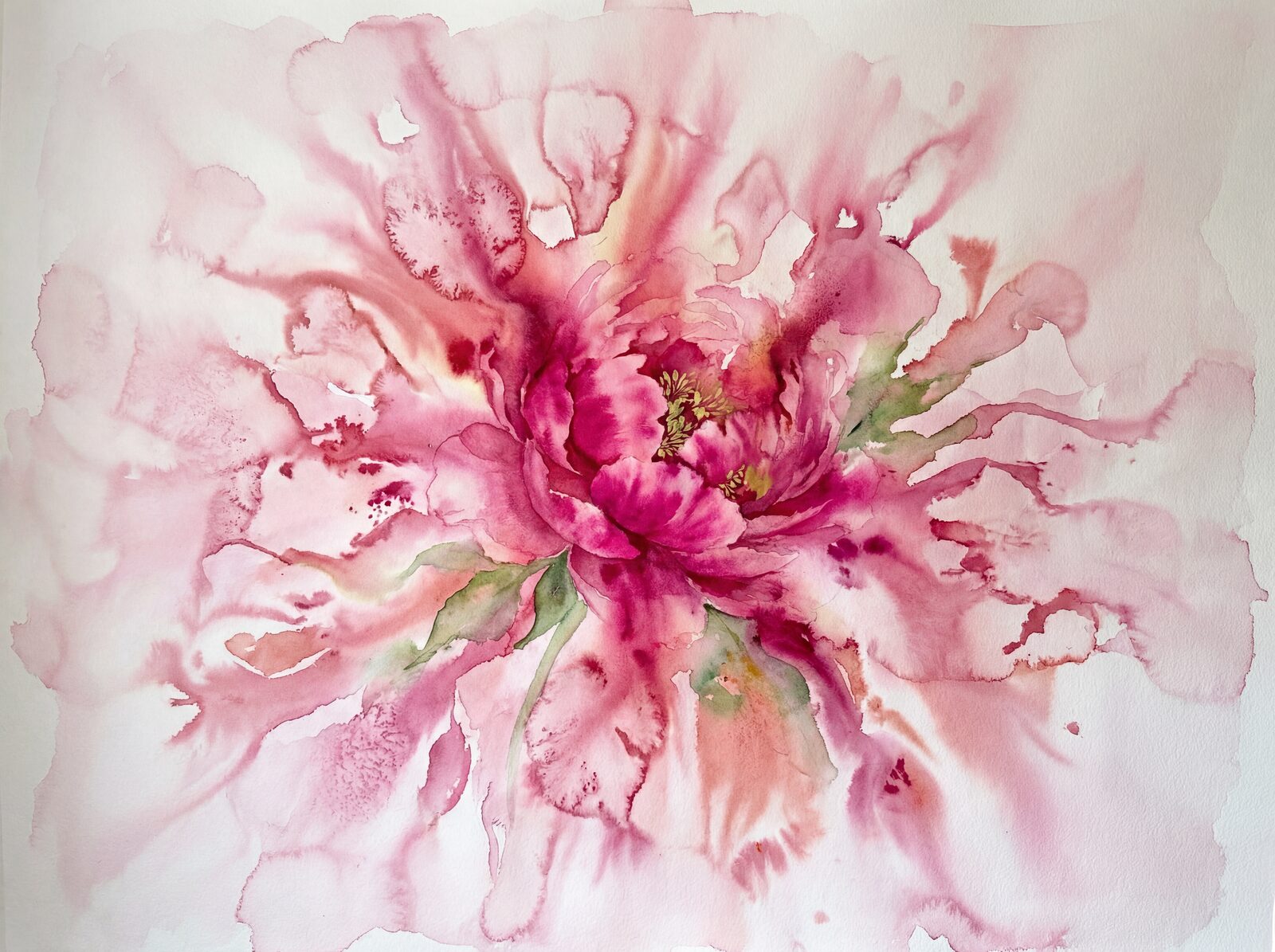 Experience the dramatic bloom of Peony Bleed, a captivating mural in magenta, hot pink, and blush tones. Made to order.