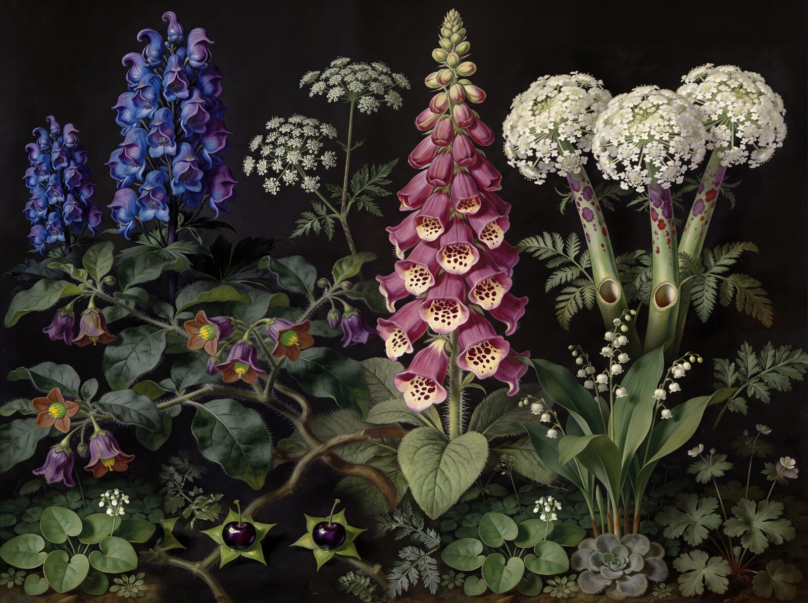 Explore the beautiful menace of Poisonous Plants, a dark botanical study in near-black, mauve, and deep blue. Made to order.