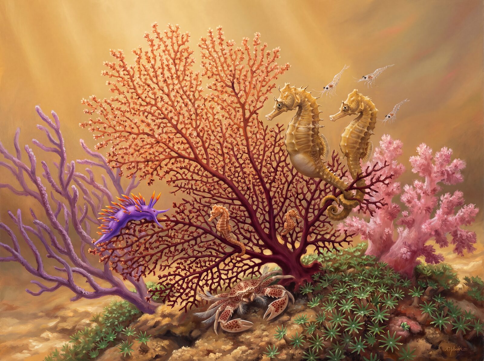 Dive into the intimate stillness of a sun-dappled reef with our Seahorse Garden mural, featuring a palette of coral-orange, gold, and deep burgundy. Made to order.