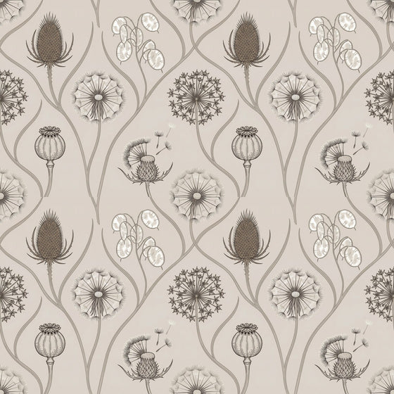 Seed Head Collection — Mural Wallpaper