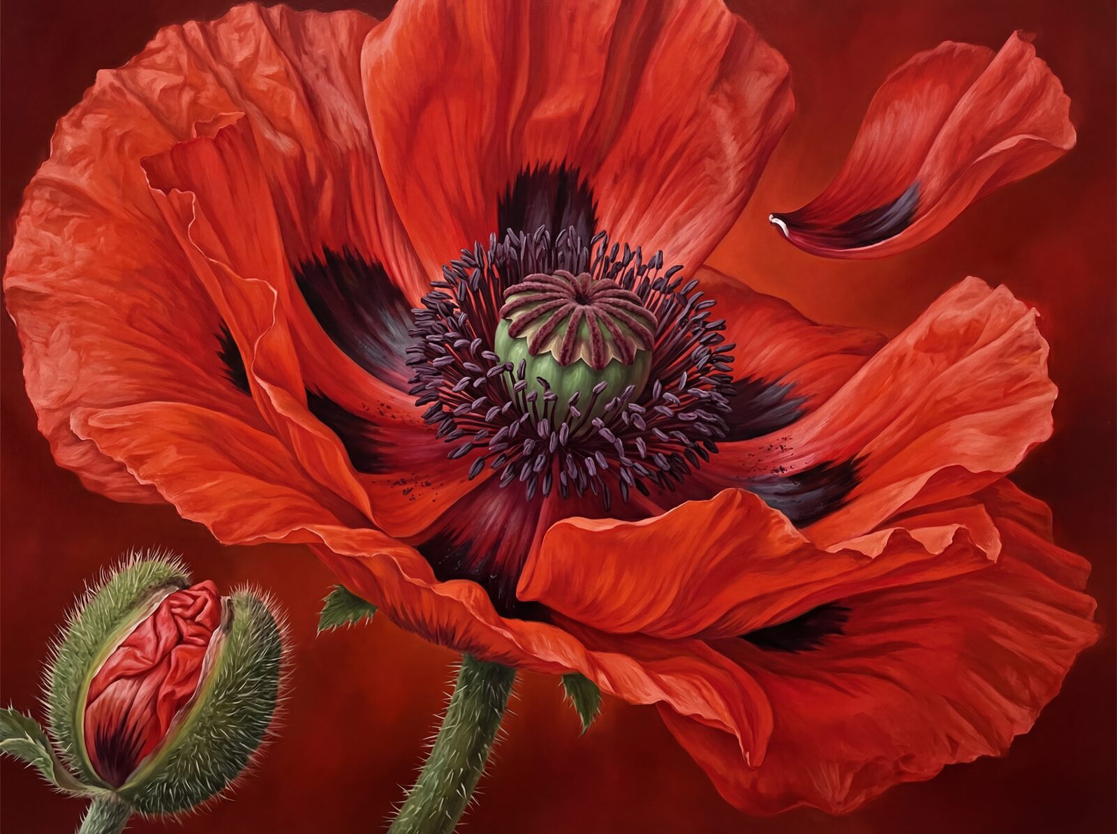 Immerse yourself in the intense scarlet of a magnified Oriental poppy. Featuring Poppy Scarlet, Basal Blotch, and Anther Purple. Made to order.