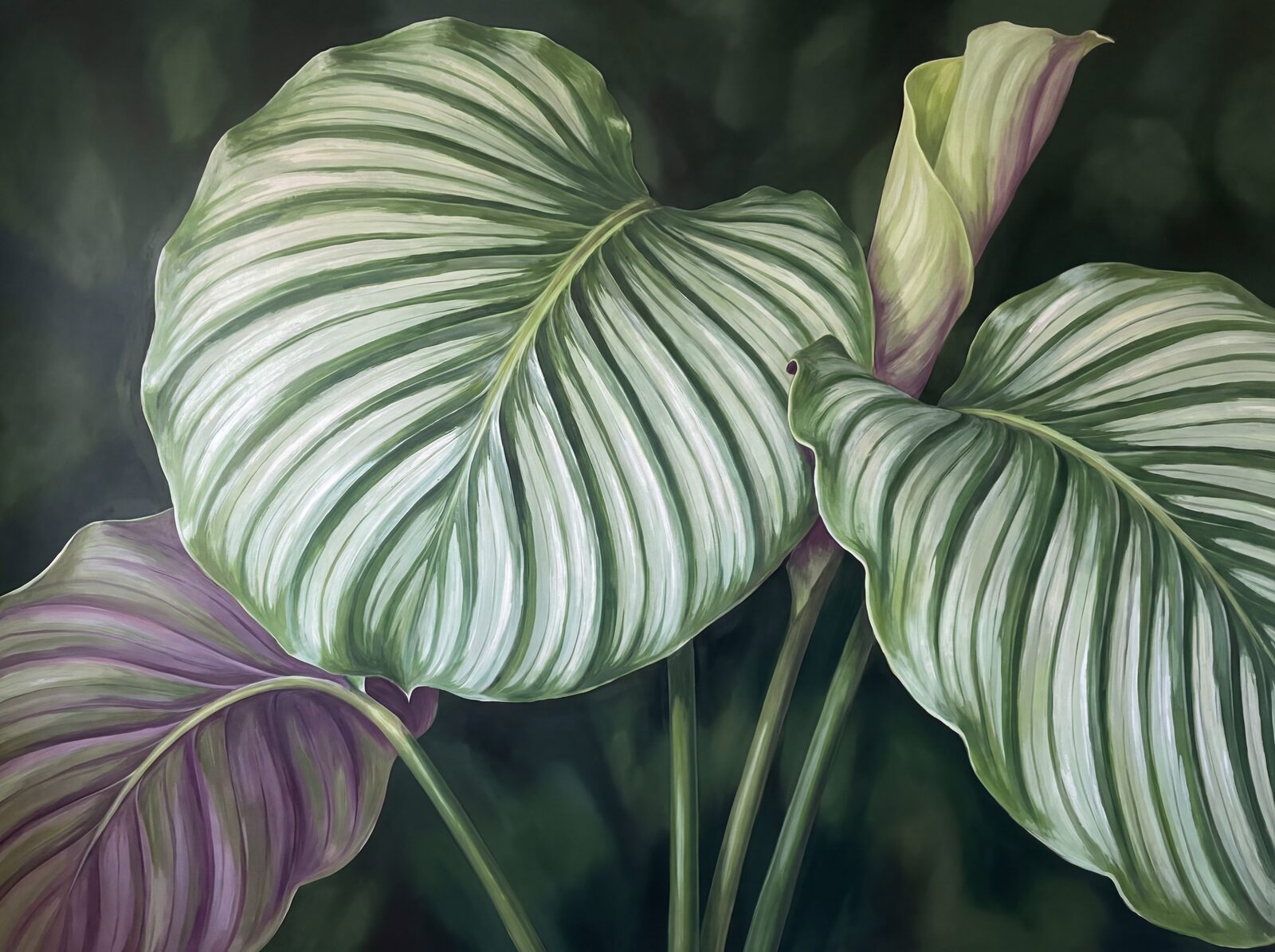 Immerse yourself in a precise, silvery world of Calathea leaves. Silver, deep green & purple hues. Made to order.