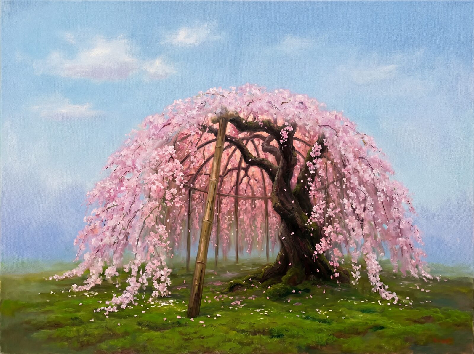 Scenic mural wallpaper featuring a weeping cherry tree in pale pink and green hues. Made to order.