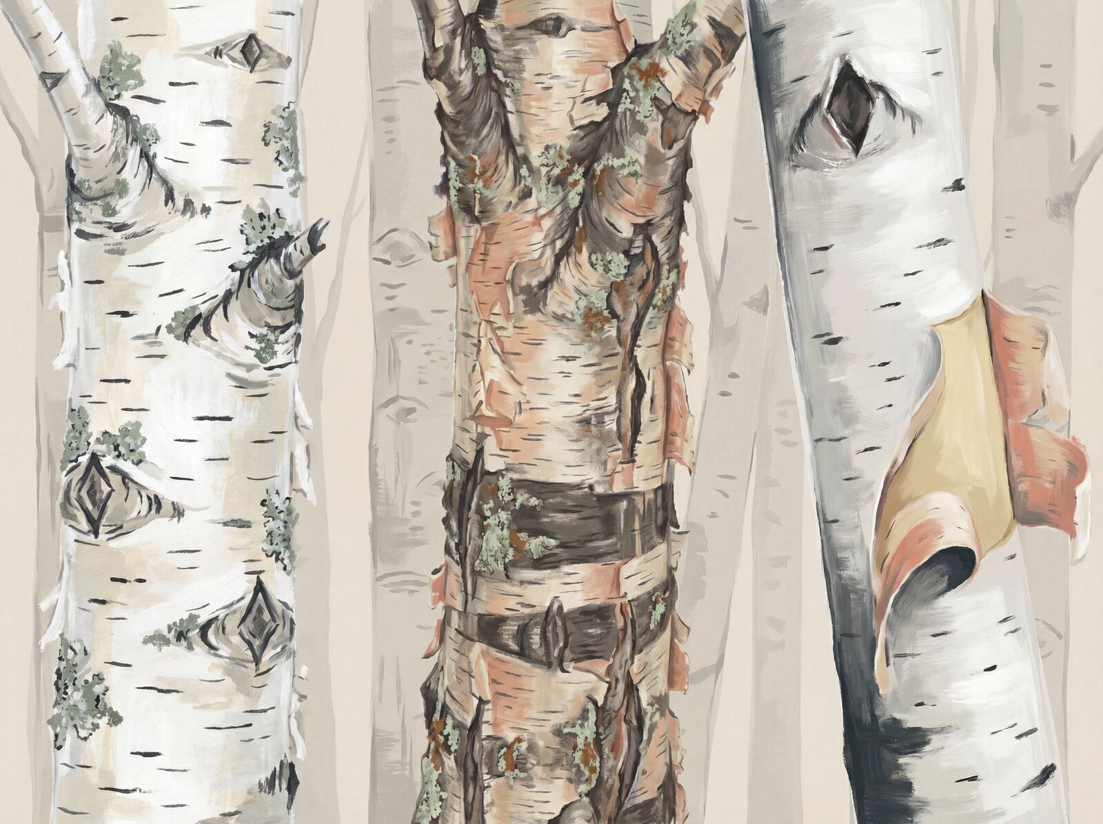 Scenic mural wallpaper featuring white birch trunks in Bark White, Lenticel Dark, and Peel Pink. Made to order.