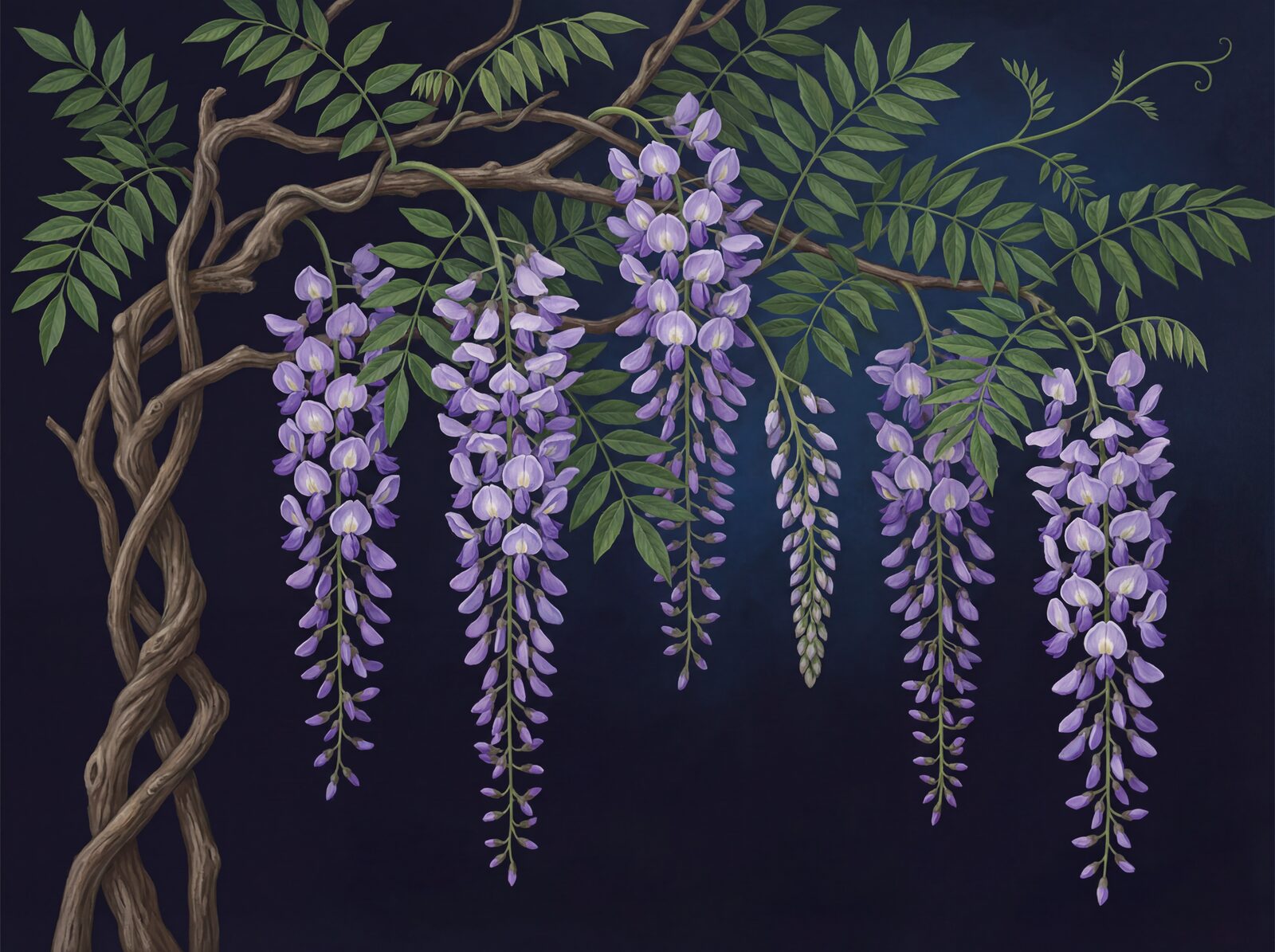 Immerse yourself in the theatrical beauty of Wisteria Cascade. Featuring deep purples, verdant greens, and a dark ground. Made to order.
